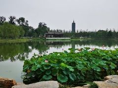 -星巴克(北京通州新光大中心店)