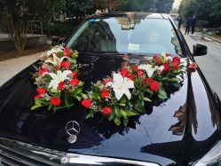 -蚂蚁婚车