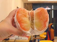 -西郊国际农产品交易中心