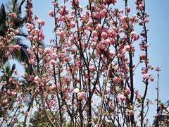 -观澜湖生态运动公社