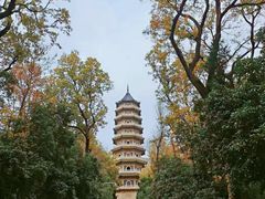 -灵谷景区