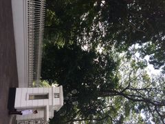 新加坡总统府-新加坡总统府