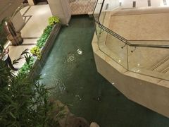 -海天一色海景自助餐厅(西港花园店)