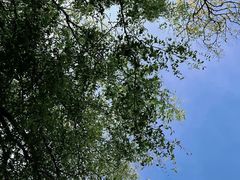 -北京鲁迅博物馆(北京新文化运动纪念馆鲁博馆区)
