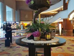 -元一希尔顿酒店·禅自助餐厅·啤酒花园
