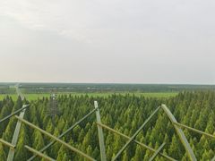 -黄海国家森林公园