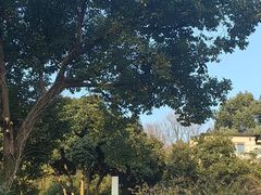-杭州西湖风景名胜区-满觉陇四眼井