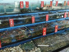 -红月湾海鲜饭店•沙滩海景(双月湾店)