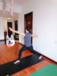 -Yvon yoga 瑜伽·精准体态管理中心