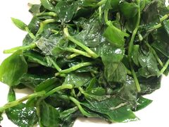 炒野菜-荣生萝卜汤饭店