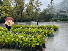 -南山植物园