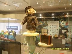 -济州岛泰迪熊博物馆