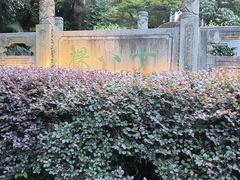 -十八棵（老龙井）御茶园(老龙井店)