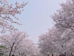-上海辰山植物园