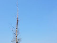 -良渚古城遗址公园