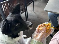 -bluefrog蓝蛙(皇庭广场店)