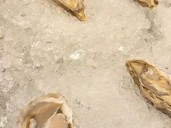 -视界美食自助餐厅·石家庄希尔顿酒店