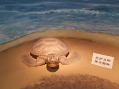 -嘉定博物馆