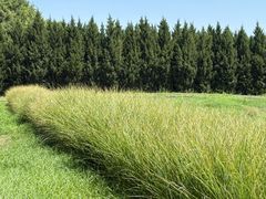 -汉长安城未央宫国家考古遗址公园