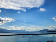 -野菌皇海景野生菌火锅(滨海大道店)