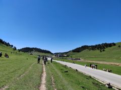-关山草原