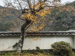 -三千院