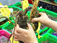 -众味海鲜大排档·活海鲜·潮汕味(南澳店)