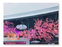 -韵秋荷(宝山龙湖天街店)