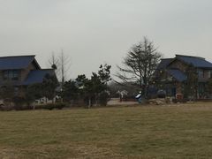-阳光海岸露营公园