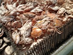 -星伦多自助料理·涮烤一体(奉贤龙湖天街店)
