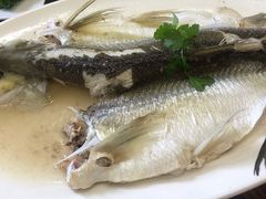 -绿雅居原生态农庄(小涌店)