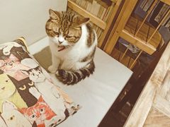 -小时光咖啡馆(开森度假森林店)