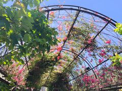 -The Grounds of Alexandria