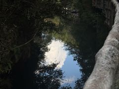 -石台牯牛降景区