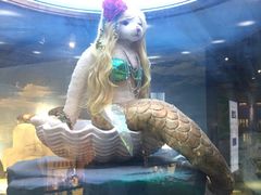 -成都泰迪熊博物馆
