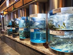 -老船舫·现做活鲜鱼馆(东郊记忆店)