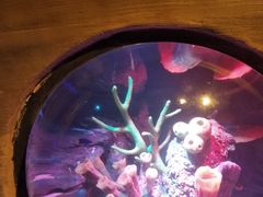 -沈阳海洋探索中心