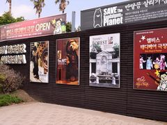 -济州岛泰迪熊博物馆