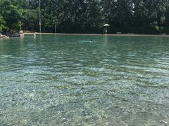 -柳浪游泳场