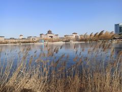 -莲花池公园