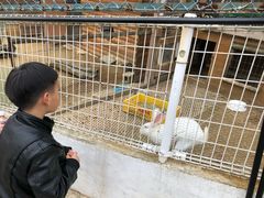 -神户市立六甲山牧场