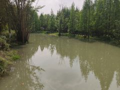 -桤木河湿地公园