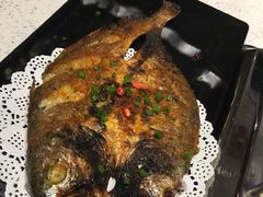 -九府羊·鲜羊火锅·烤串(新华路店)