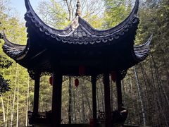 -仙霞关景区