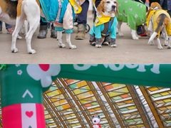 -中国天府农业博览园