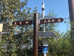 -北京鹫峰国家森林公园