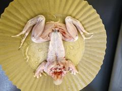 -琪航健身工作室(杨高南路地铁站店)