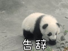 -小胡子祥彪烧烤(北湖总店)
