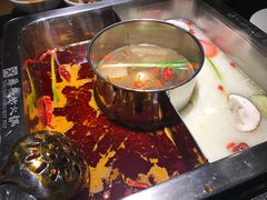 -万鼎沸菌汤火锅(柘城店)
