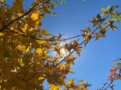 -北京西山国家森林公园